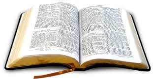 Bible Paper / Pharma Print